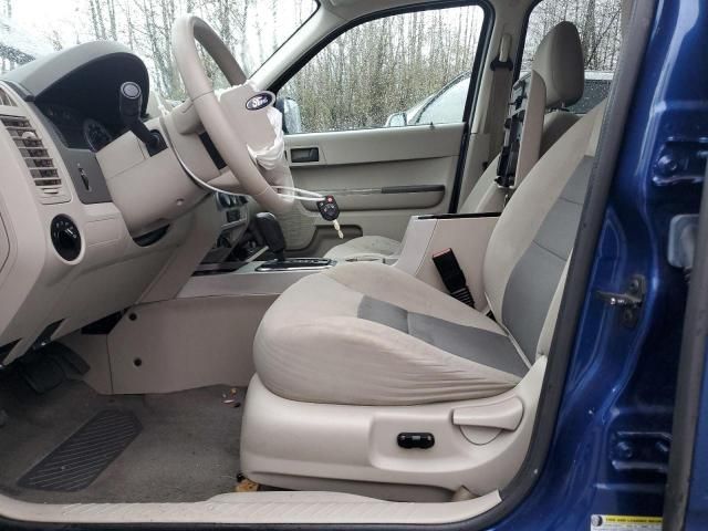 2008 Ford Escape XLT