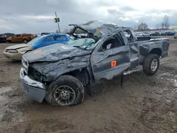 Dodge salvage cars for sale: 2004 Dodge Dakota SLT