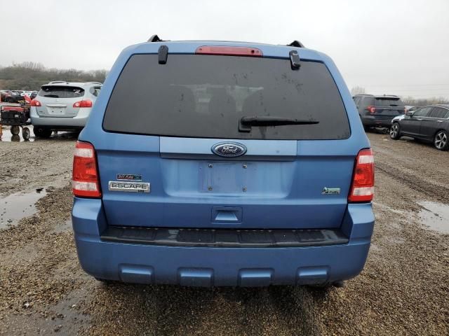 2010 Ford Escape XLT