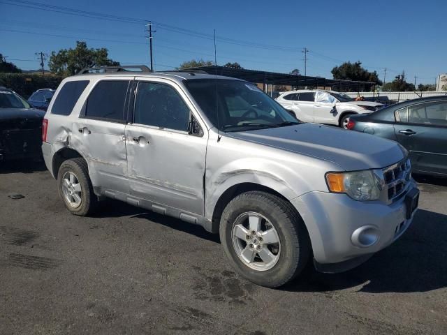 2011 Ford Escape XLT