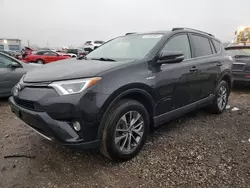 Toyota salvage cars for sale: 2016 Toyota Rav4 HV XLE