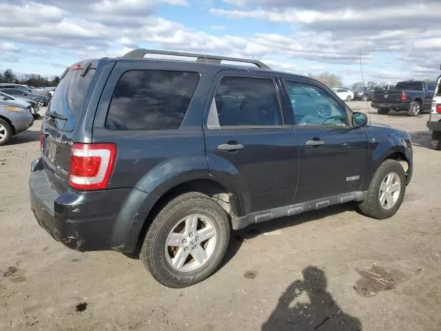 2008 Ford Escape HEV