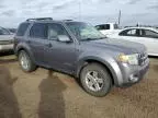 2008 Ford Escape HEV