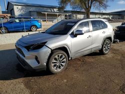 Salvage cars for sale at Albuquerque, NM auction: 2019 Toyota Rav4 XLE Premium