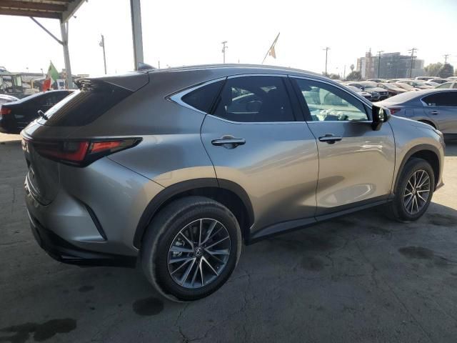 2023 Lexus NX 250