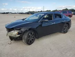 Salvage cars for sale at Arcadia, FL auction: 2013 Nissan Maxima S