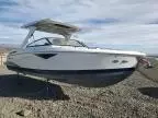 2020 Cobia/robalo Boat