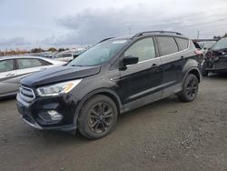 Salvage cars for sale at Eugene, OR auction: 2019 Ford Escape SEL