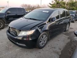 Salvage cars for sale at Lexington, KY auction: 2015 Honda Odyssey EXL