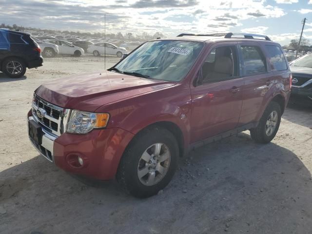 2011 Ford Escape Limited