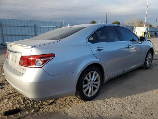 2010 Lexus ES 350