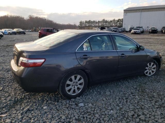 2009 Toyota Camry Hybrid