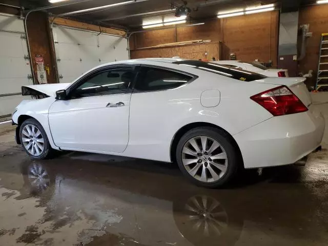 2009 Honda Accord EXL