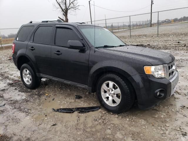 2011 Ford Escape Limited