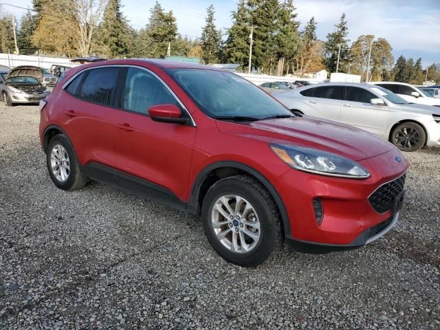 2020 Ford Escape SE