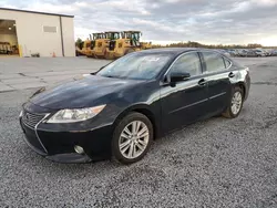 Lexus Vehiculos salvage en venta: 2014 Lexus ES 350