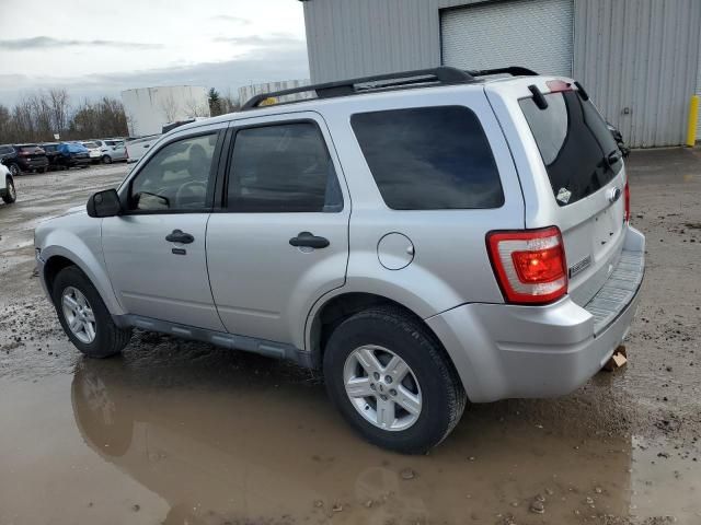 2010 Ford Escape Hybrid