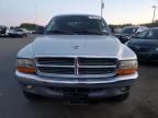 2004 Dodge Dakota Quad SLT