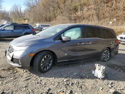 Salvage cars for sale at Marlboro, NY auction: 2023 Honda Odyssey EXL