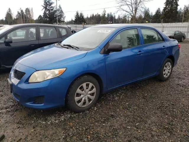 2009 Toyota Corolla Base