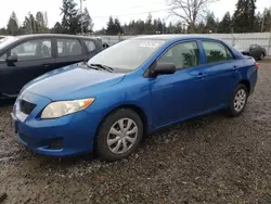 Toyota salvage cars for sale: 2009 Toyota Corolla Base