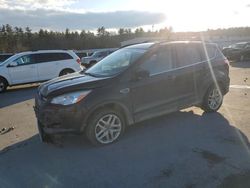 2013 Ford Escape SE en venta en Windham, ME