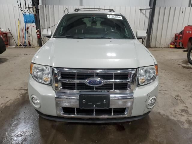 2009 Ford Escape Limited