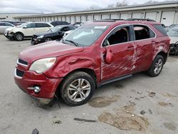 Salvage cars for sale at Louisville, KY auction: 2013 Chevrolet Equinox LT