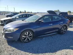 Salvage cars for sale from Copart Mentone, CA: 2016 Nissan Maxima 3.5S