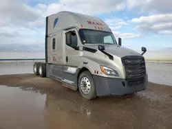 Salvage trucks for sale at Amarillo, TX auction: 2019 Freightliner Cascadia 126