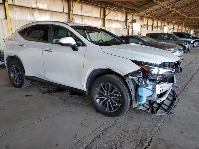 2024 Lexus NX 350H Base