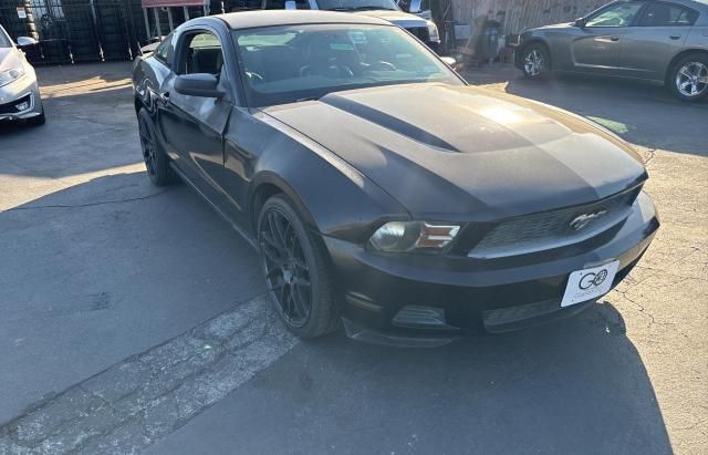 2010 Ford Mustang