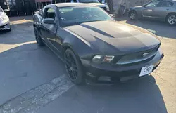 Ford salvage cars for sale: 2010 Ford Mustang