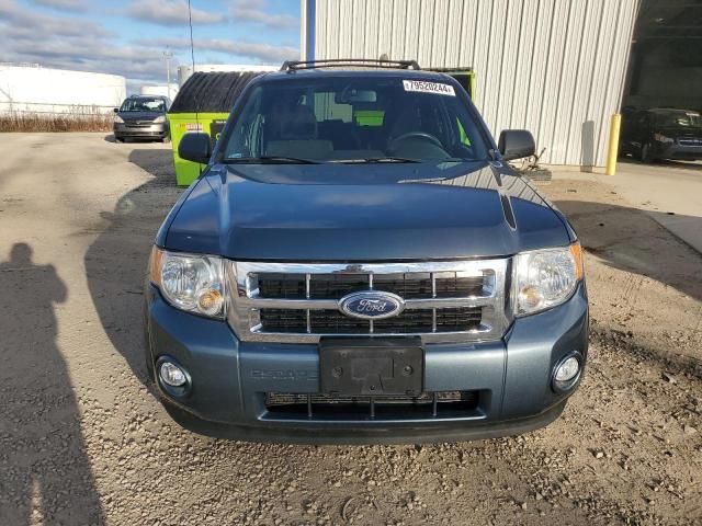 2010 Ford Escape XLT