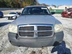 2005 Dodge Dakota ST