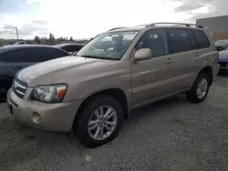 Toyota Highlander salvage cars for sale: 2006 Toyota Highlander Hybrid