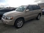 2006 Toyota Highlander Hybrid