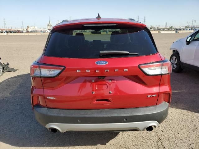 2021 Ford Escape SEL