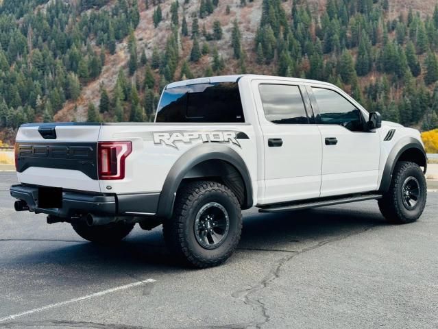 2017 Ford F150 Raptor