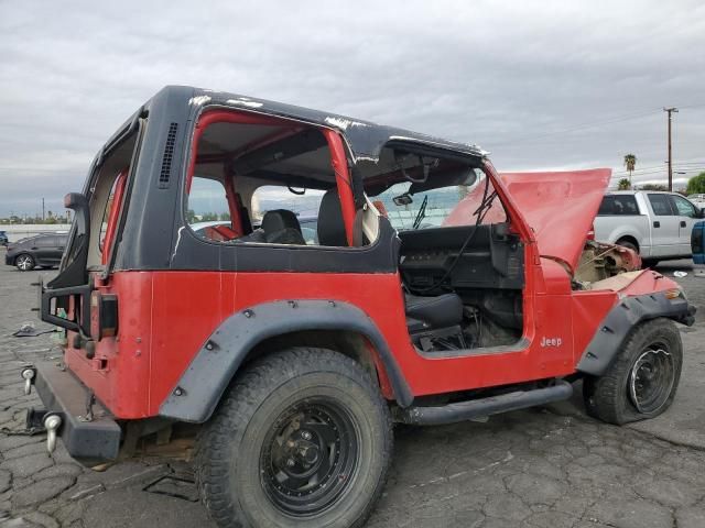 1995 Jeep Wrangler / YJ S