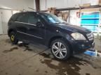 2009 Mercedes-Benz ML 350