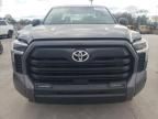 2024 Toyota Tundra Crewmax SR