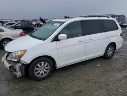 2010 Honda Odyssey EXL en venta en Antelope, CA