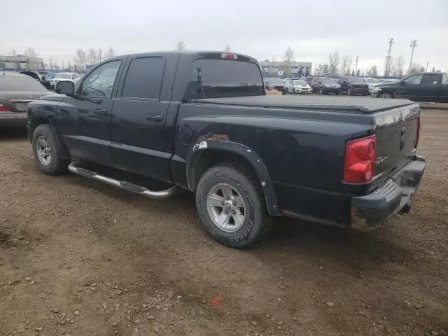 2008 Dodge Dakota SXT