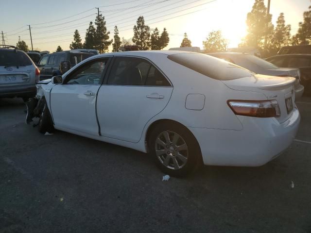 2009 Toyota Camry Hybrid