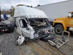 Salvage trucks for sale at Conway, AR auction: 2025 Freightliner Cascadia 126