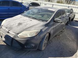 Salvage cars for sale at Las Vegas, NV auction: 2013 Ford Focus SE