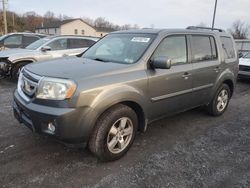 Salvage cars for sale at York Haven, PA auction: 2009 Honda Pilot EX