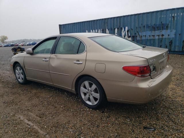 2005 Lexus ES 330