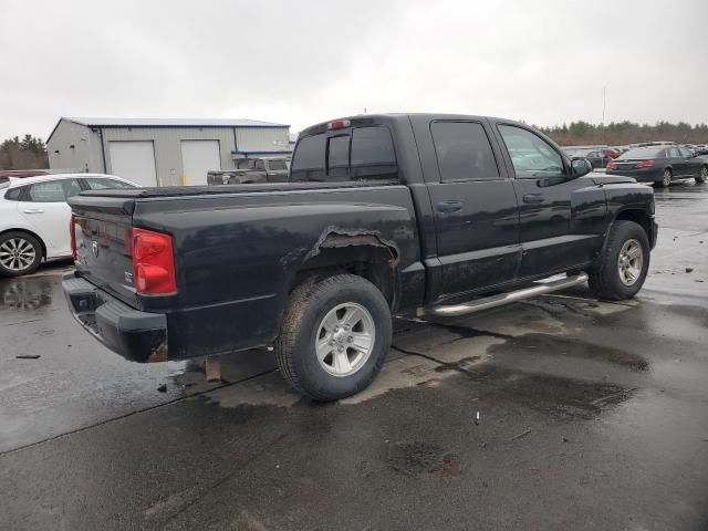 2008 Dodge Dakota Quad SLT